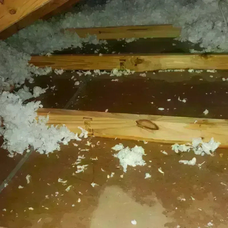 Attic Water Damage in Bastrop County, TX